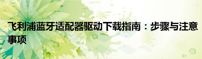 飞利浦蓝牙适配器驱动下载指南：步骤与注意事项
