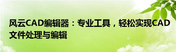 风云CAD编辑器：专业工具，轻松实现CAD文件处理与编辑