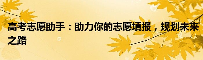 高考志愿助手：助力你的志愿填报，规划未来之路