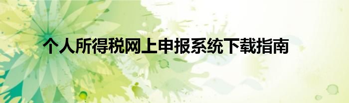 个人所得税网上申报系统下载指南