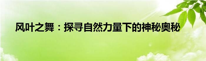 风叶之舞：探寻自然力量下的神秘奥秘
