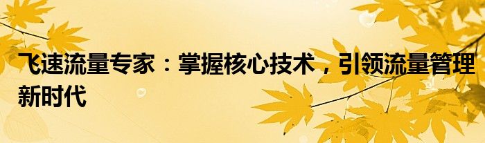 飞速流量专家：掌握核心技术，引领流量管理新时代