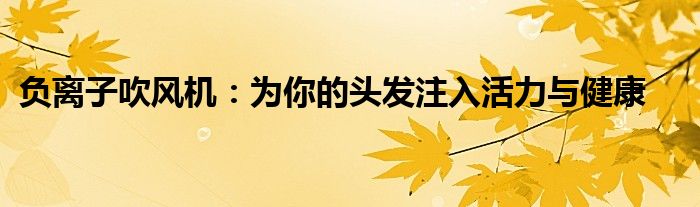 负离子吹风机：为你的头发注入活力与健康