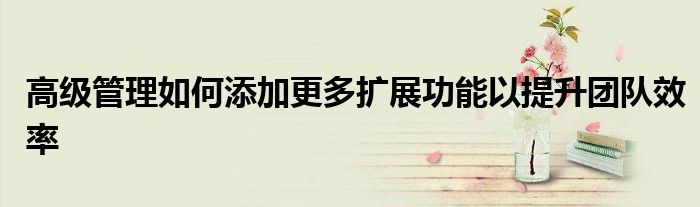 高级管理如何添加更多扩展功能以提升团队效率
