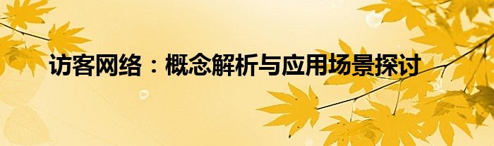 访客网络：概念解析与应用场景探讨