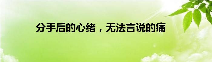 分手后的心绪，无法言说的痛