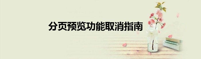 分页预览功能取消指南