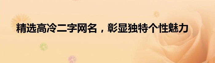 精选高冷二字网名，彰显独特个性魅力