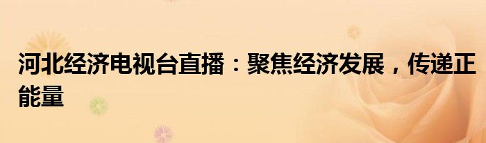 河北经济电视台直播：聚焦经济发展，传递正能量