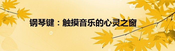 钢琴键：触摸音乐的心灵之窗