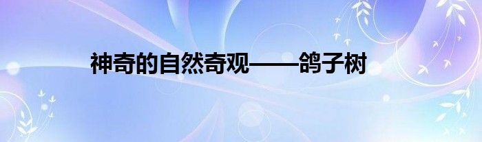 神奇的自然奇观——鸽子树