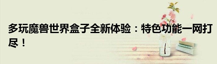 多玩魔兽世界盒子全新体验：特色功能一网打尽！