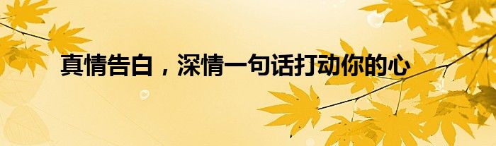 真情告白，深情一句话打动你的心