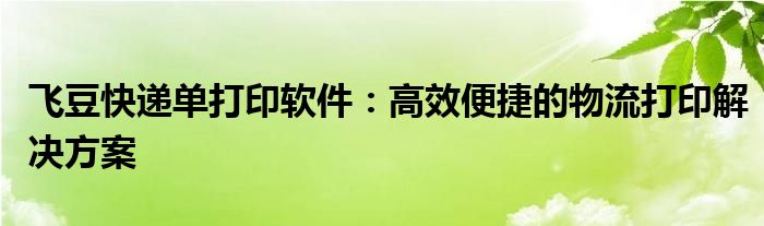 飞豆快递单打印软件：高效便捷的物流打印解决方案