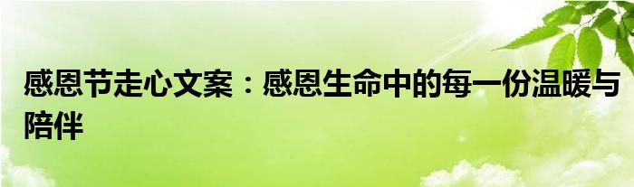 感恩节走心文案：感恩生命中的每一份温暖与陪伴