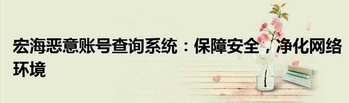 宏海恶意账号查询系统：保障安全，净化网络环境