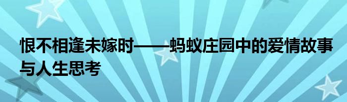 恨不相逢未嫁时——蚂蚁庄园中的爱情故事与人生思考