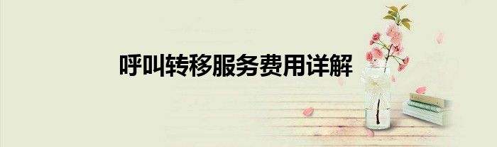 呼叫转移服务费用详解