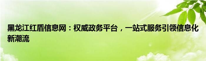 黑龙江红盾信息网：权威政务平台，一站式服务引领信息化新潮流