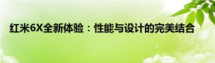 红米6X全新体验：性能与设计的完美结合