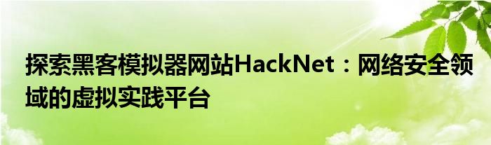 探索黑客模拟器网站HackNet：网络安全领域的虚拟实践平台