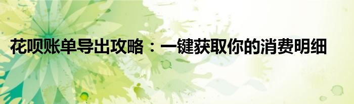 花呗账单导出攻略：一键获取你的消费明细