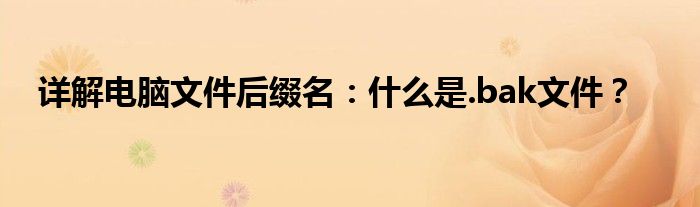 详解电脑文件后缀名：什么是.bak文件？