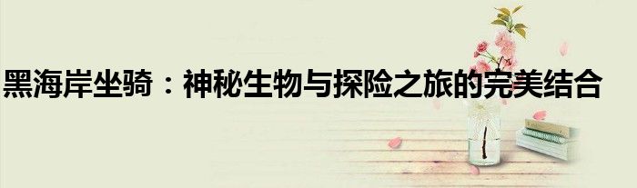 黑海岸坐骑：神秘生物与探险之旅的完美结合