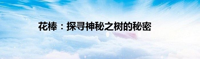 花棒：探寻神秘之树的秘密