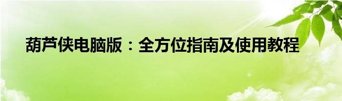 葫芦侠电脑版：全方位指南及使用教程