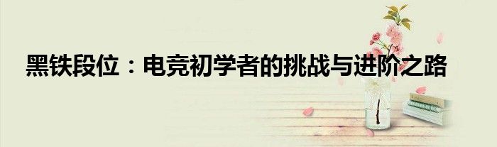 黑铁段位：电竞初学者的挑战与进阶之路