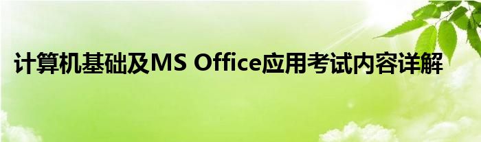 计算机基础及MS Office应用考试内容详解
