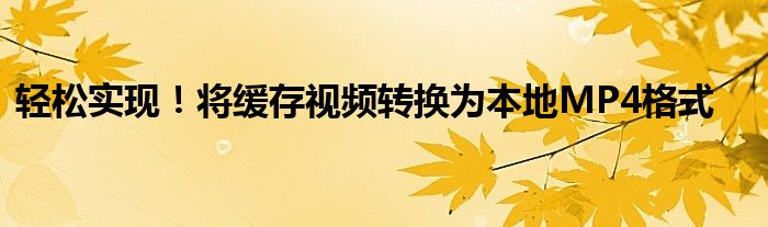 轻松实现！将缓存视频转换为本地MP4格式