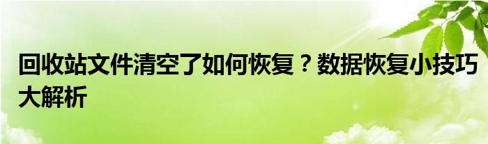 回收站文件清空了如何恢复？数据恢复小技巧大解析