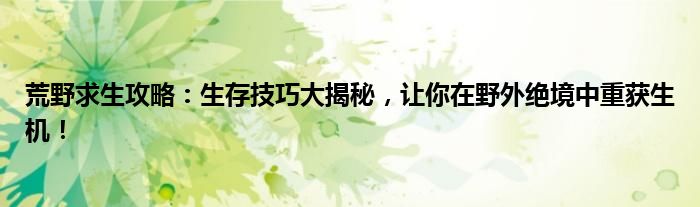荒野求生攻略：生存技巧大揭秘，让你在野外绝境中重获生机！