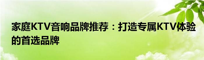 家庭KTV音响品牌推荐：打造专属KTV体验的首选品牌