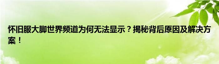 怀旧服大脚世界频道为何无法显示？揭秘背后原因及解决方案！