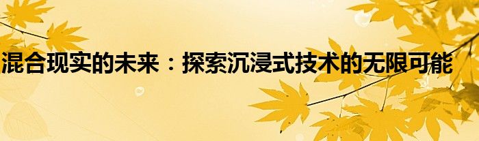 混合现实的未来：探索沉浸式技术的无限可能