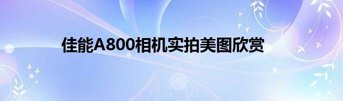 佳能A800相机实拍美图欣赏