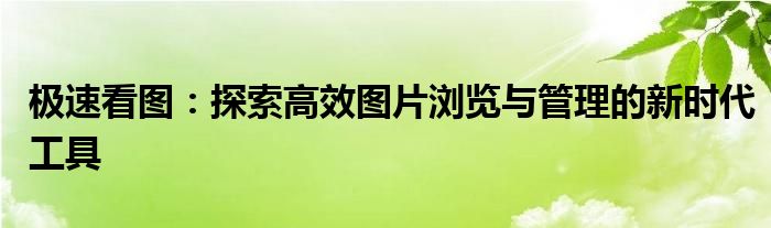 极速看图：探索高效图片浏览与管理的新时代工具
