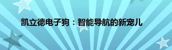 凯立德电子狗：智能导航的新宠儿