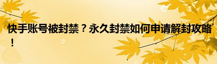 快手账号被封禁？永久封禁如何申请解封攻略！