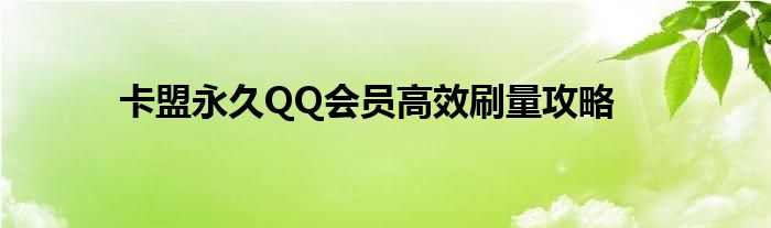 卡盟永久QQ会员高效刷量攻略