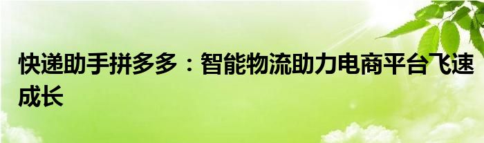 快递助手拼多多：智能物流助力电商平台飞速成长