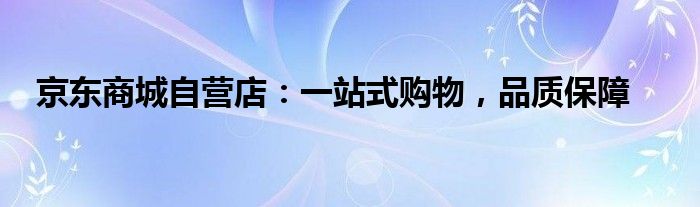 京东商城自营店：一站式购物，品质保障