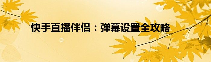 快手直播伴侣：弹幕设置全攻略