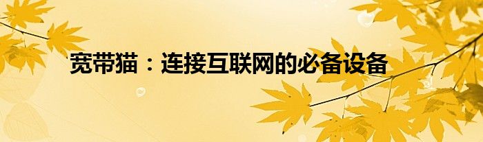 宽带猫：连接互联网的必备设备