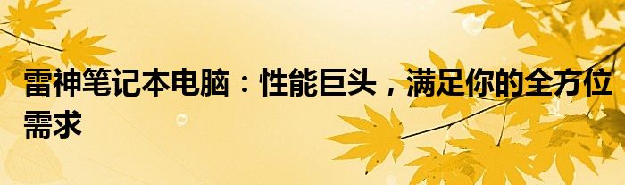 雷神笔记本电脑：性能巨头，满足你的全方位需求