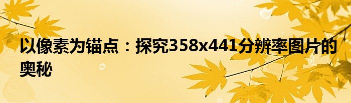 以像素为锚点：探究358x441分辨率图片的奥秘