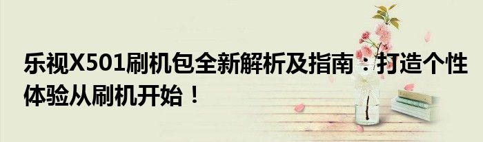 乐视X501刷机包全新解析及指南：打造个性体验从刷机开始！